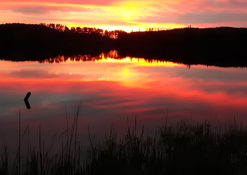 Sunset by Rick Waterman